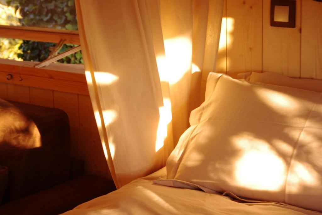 Cordelle Domaine Des Grands Cedres B&B 객실 사진